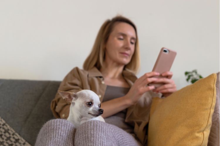 Dog sitting on a woman's lap