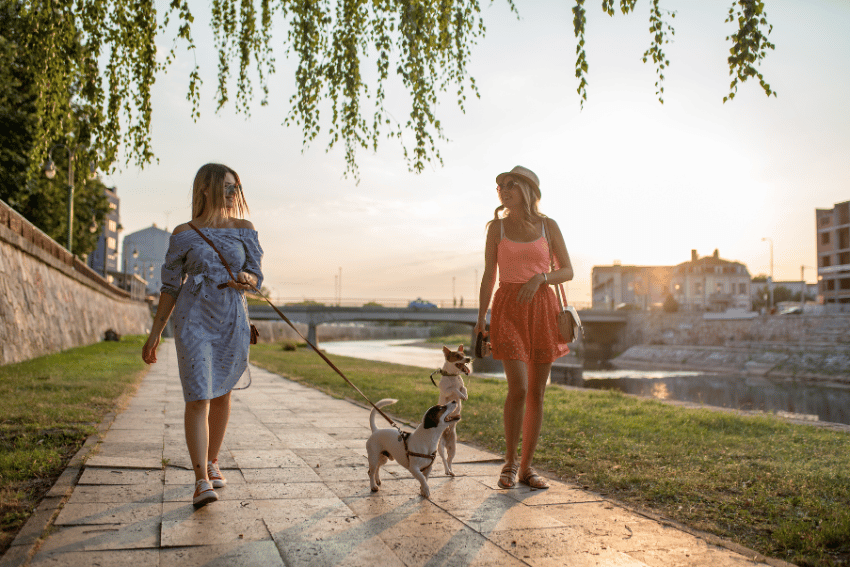 Two women strolling a small dog along a riverside path at sunset, one in a blue dress, the other in a red dress and hat. The river and bridge provide a picturesque backdrop as sunlight filters through tree branches—an idyllic scene reminiscent of an NDIS support outing promoting wellness.